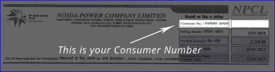NPCL Electricity Bill Sample