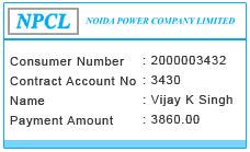 NPCL Electricity Bill Sample